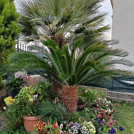 شيفيتافيكْيا Bed And Breakfast Angolo Fiorito المظهر الخارجي الصورة