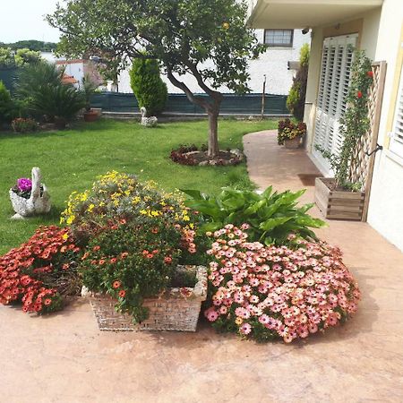 شيفيتافيكْيا Bed And Breakfast Angolo Fiorito المظهر الخارجي الصورة