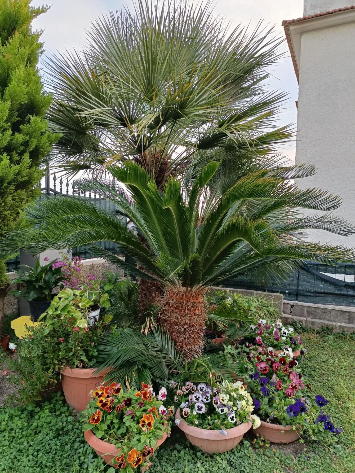 شيفيتافيكْيا Bed And Breakfast Angolo Fiorito المظهر الخارجي الصورة