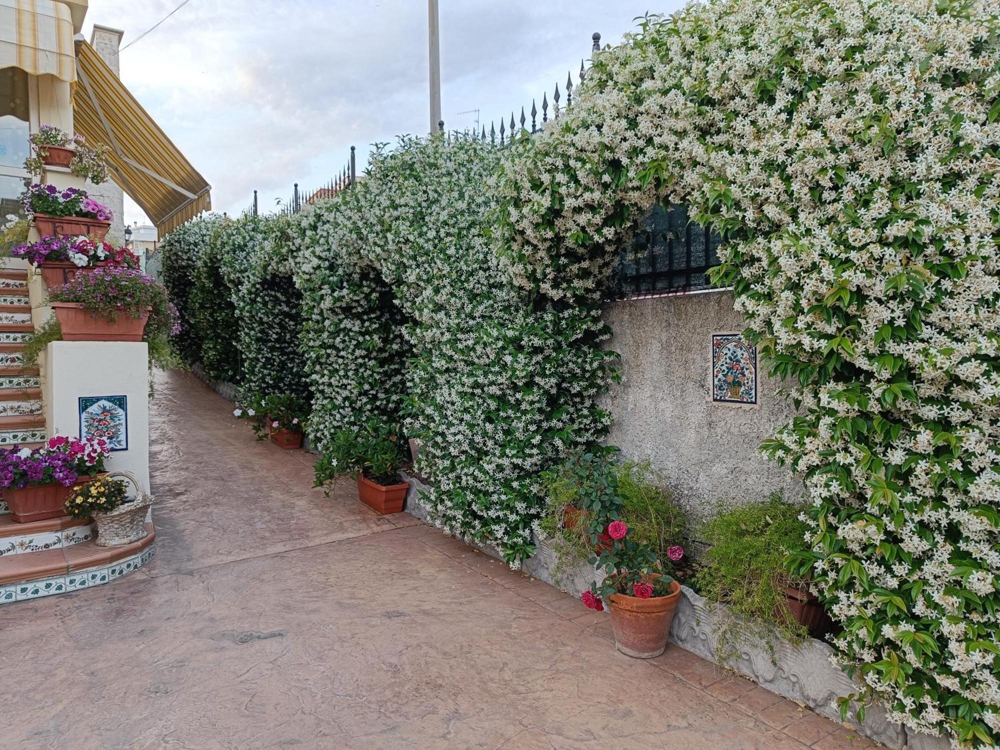 شيفيتافيكْيا Bed And Breakfast Angolo Fiorito المظهر الخارجي الصورة