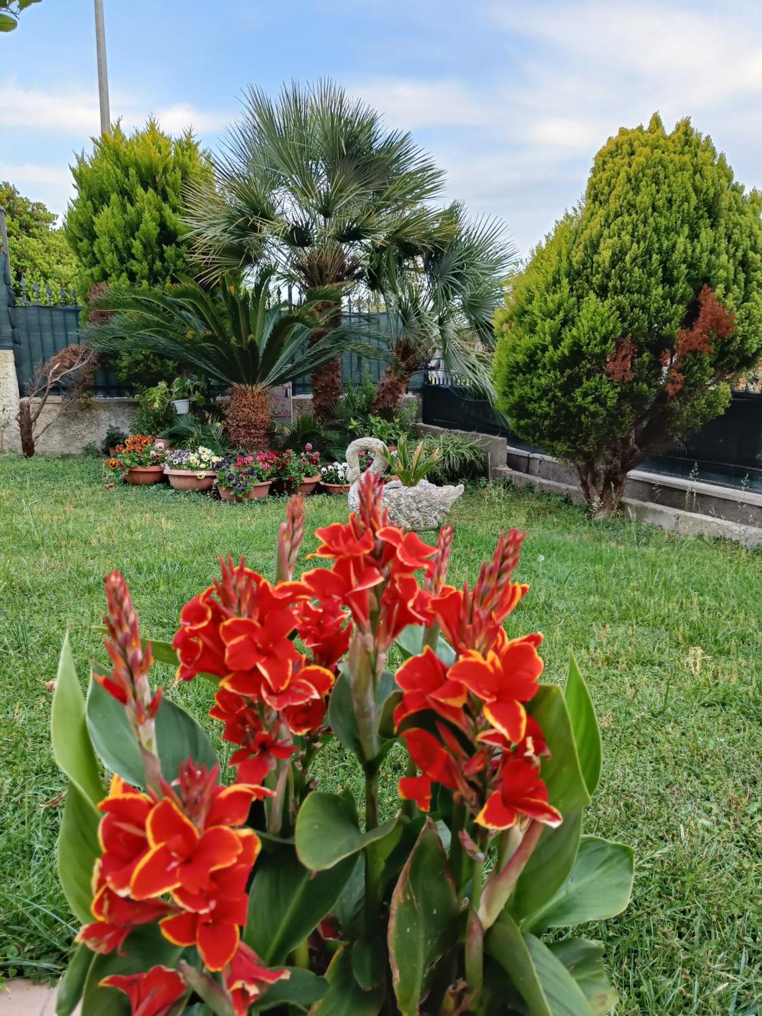 شيفيتافيكْيا Bed And Breakfast Angolo Fiorito المظهر الخارجي الصورة